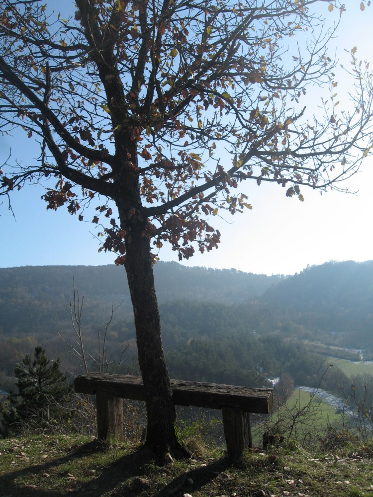 Accompagnement en psychologie biodynamique