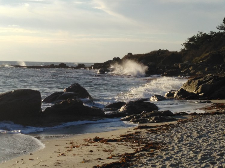 Pourquoi la psychologie biodynamique?